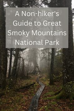 Misty forest with wooden path winding through the trees with the words A Non-hiker's Guide to the Great Smoky Mountains National Park Great Smoky Mountain National Park, Tennessee Family Vacation, Travel Tennessee, Asheville Hikes