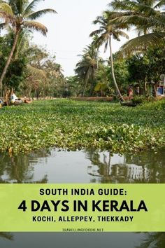 the cover of south india guide 4 days in kerala