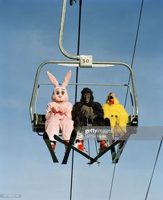 two stuffed animals are sitting on a ski lift, one is wearing a bunny costume