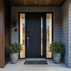 two potted plants sit on the front steps of a house, next to an entry door