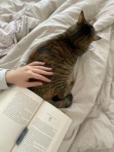 a cat laying on top of a bed next to a person holding an open book