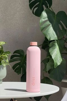 a pink water bottle sitting on top of a table next to a potted plant