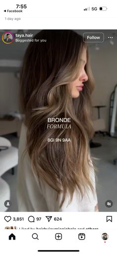 Dimensional Brunette Formula, Teddy Bear Bronde Formula, Shades Eq Toner Formulas, Brunette Formulas, Redken Shade, Shades Formulas