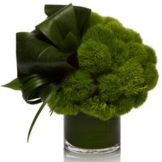 a vase filled with green plants on top of a table