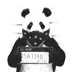 a panda bear is holding a license plate