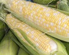 corn on the cob with green leaves and watermelon in the background stock photos