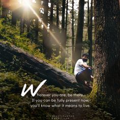 a man sitting on top of a tree trunk in the forest with a quote above it