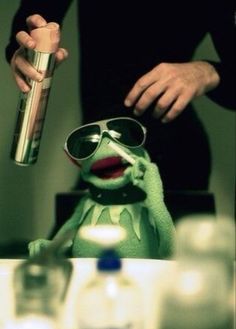 a person with sunglasses holding a spray bottle next to a kermik the frog