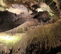 the inside of a cave with moss growing on it