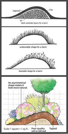 three different types of trees and shrubs