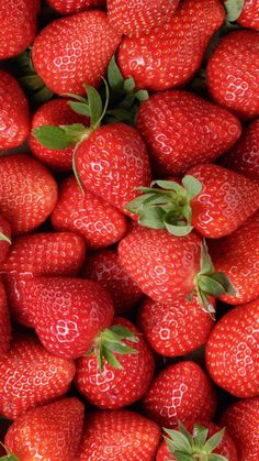 a large pile of red strawberries with green leaves on the top and bottom half