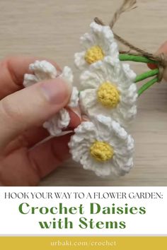 crochet daisies with stems in hand