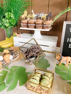 a dessert table filled with cupcakes, cookies and pastries for a safari themed birthday party