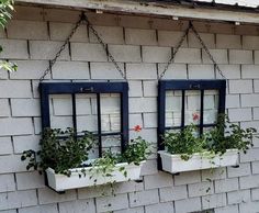 two windows with plants in them hanging from chains