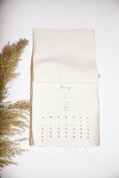 an open calendar sitting on top of a piece of paper next to a plant with leaves