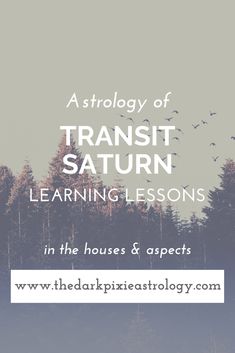 the cover of a book with trees in the background and text that reads, a study of transit saturn learning lessons in the houses & aspects