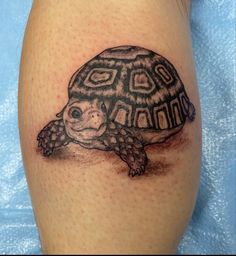 a small turtle tattoo on the leg