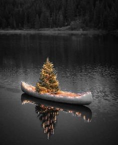 a small boat with a christmas tree on it floating in the middle of a lake