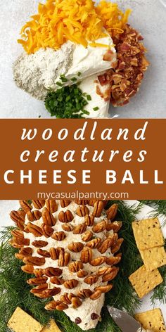 cheese ball recipe with pine cones, carrots and crackers on the side for an easy appetizer