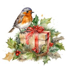 a watercolor painting of a bird sitting on top of a present box with holly and red berries