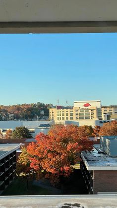 the view from an apartment window looking out at buildings and trees with fall foliage in the foreground