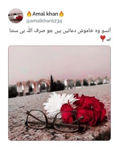 a pair of glasses sitting on top of a table next to a red and white rose