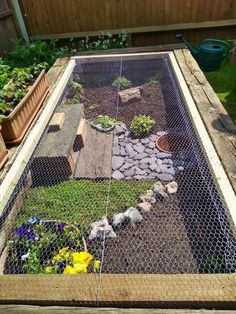 an outdoor garden with plants and rocks in the center, surrounded by fenced area