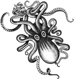 an octopus tattoo design on a piece of paper