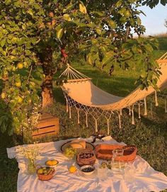 a hammock is set up in the grass with fruit and drinks on it