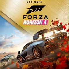 forza horizon 4 on the nintendo wii