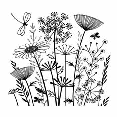 black and white drawing of wildflowers with dragonfly on the back ground illustration