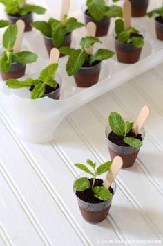 small potted plants with popsicle sticks sticking out of them on a white table