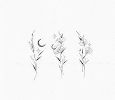 three flowers and the moon are drawn in black ink on white paper with watercolor pencils