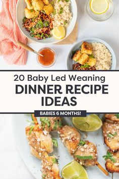 baby led weaning dinner recipe ideas