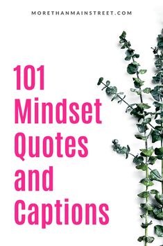 the cover of 101 mindset quotes and captions