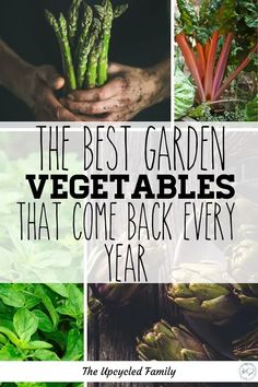 the best garden vegetables that come back every year