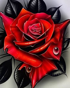 a drawing of a red rose with black leaves and water droplets on it's petals