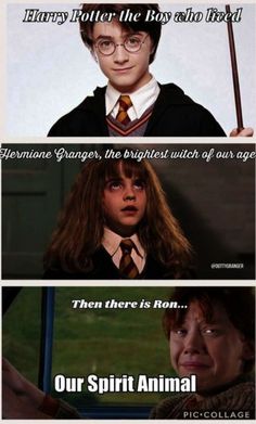 harry potter and hermione's hogwarts are the most famous characters