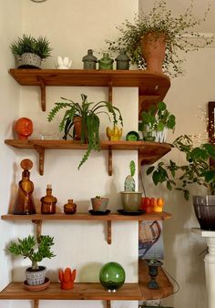 some shelves with plants and pots on them