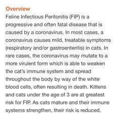 an article about the benefits of feline infectities