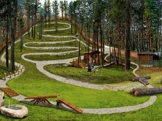 an artisticly designed park in the middle of a forest