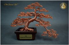 a wire bonsai tree in a wooden box on a blue background with gold lettering