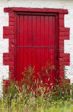 an old red door in the side of a white building with grass and weeds around it