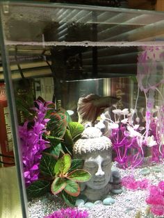 a fish tank filled with purple flowers and plants