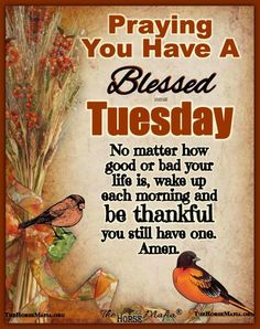 a thanksgiving card with two birds on it and the words, praying you have a blessing tuesday