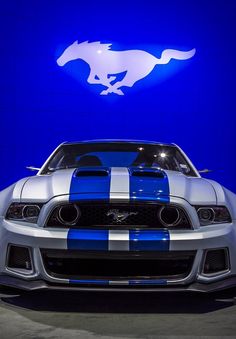 the front end of a silver and blue mustang