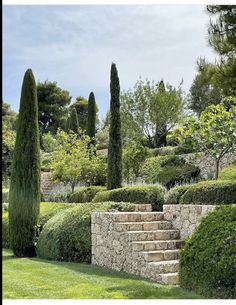 an outdoor garden with stone steps and trees