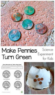 Science Experience, Experiments Kids, Science Camp, Summer Science, Kid Science, Science Crafts, Science Activities For Kids