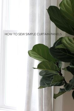 a green plant sitting next to a window with the words how to sew simple curtain panels