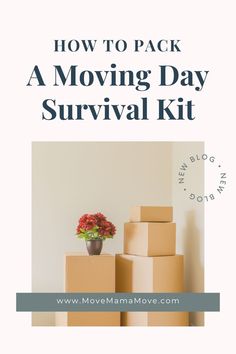 boxes stacked on top of each other with the text how to pack a moving day survival kit